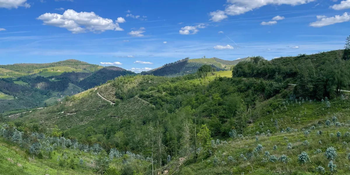 Glorious views