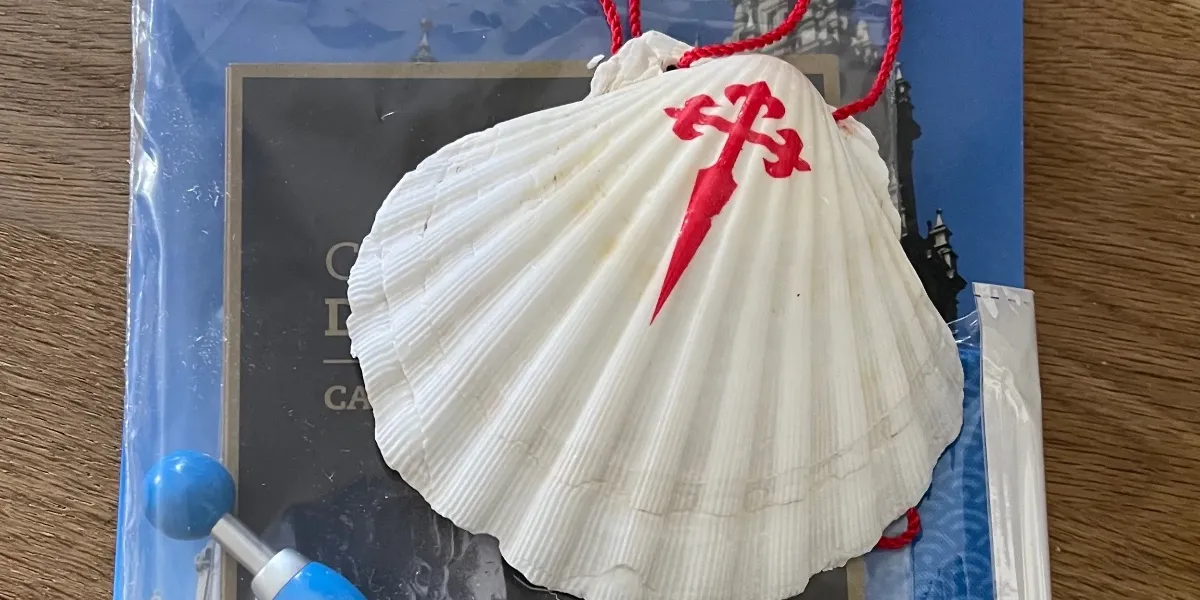 scallop shell